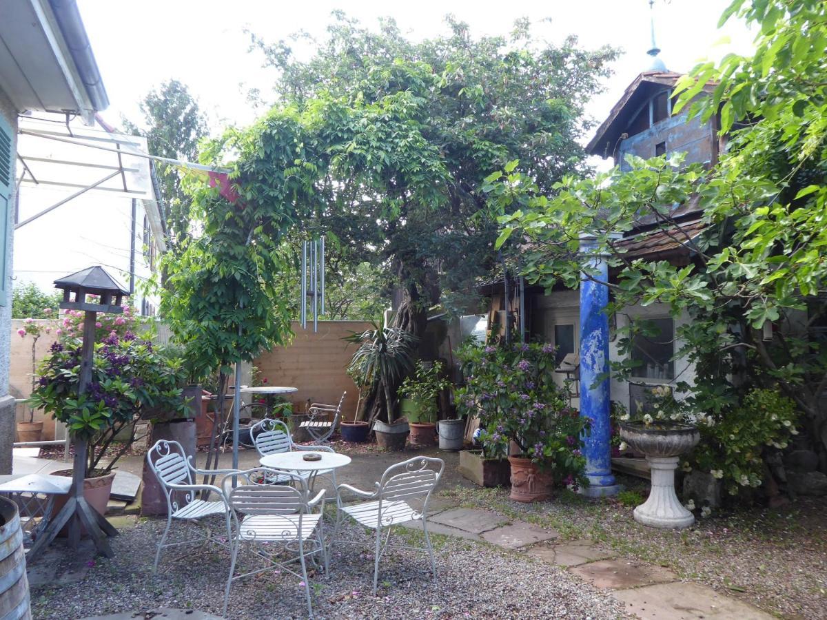 Pension Zur Rose ไวล์อัมไรน์ ภายนอก รูปภาพ